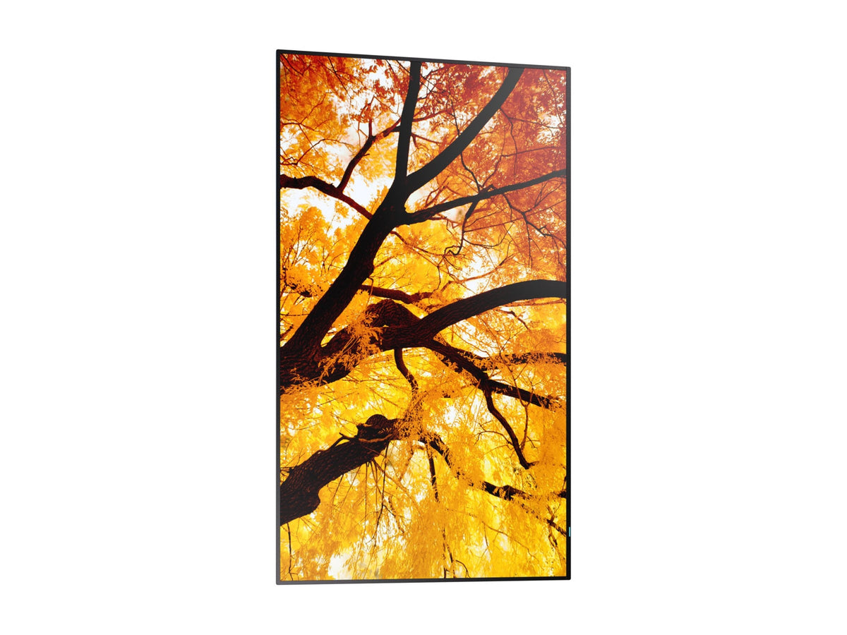 SHARP PN-M862 86" 4K UHD LED Backlight Display for Pro Use