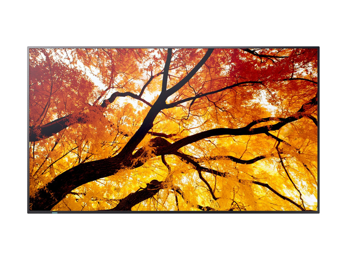 SHARP PN-M982 97.5" 4K UHD TFT LCD Display for Professional Use
