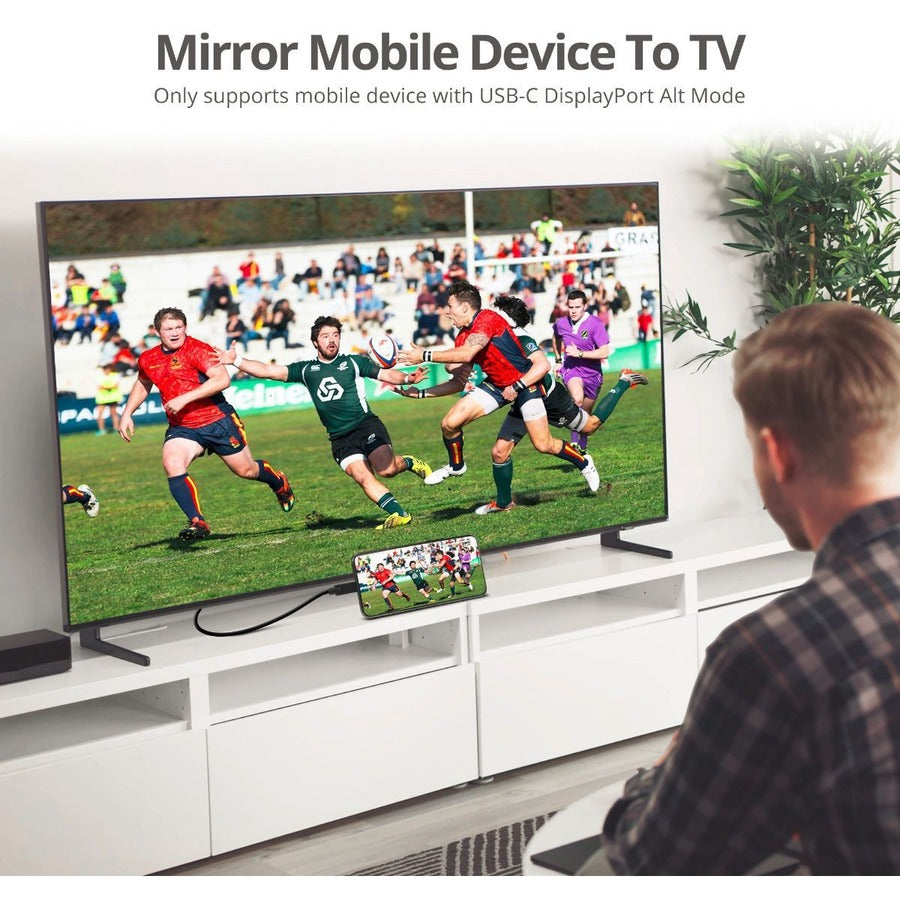 SIIG USB-C to 4K60Hz HDR HDMI 2.0 Active Cable - 2M CB-TC0J11-S1