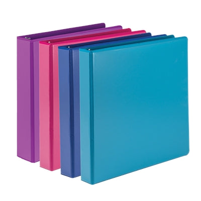 Samsill Durable 2 Inch View D-Ring Binder Fashion Assortment 4 Pack