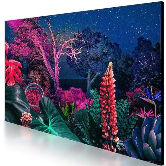 Samsung 43" QMB Professional Display