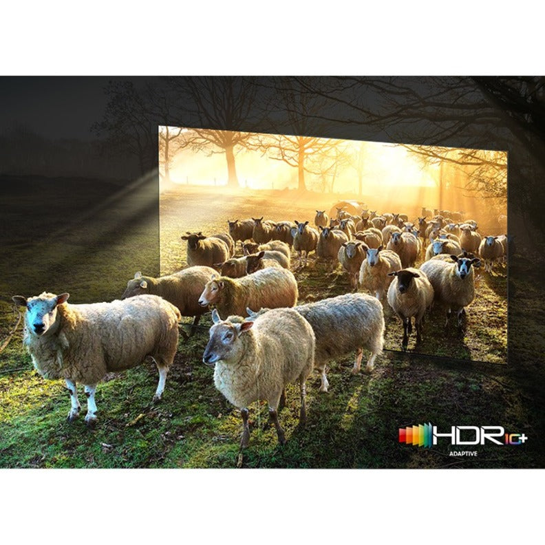 Samsung | 85" | QN900A | Neo QLED 8K | Smart TV | QN85QN900AFXZA | 2021