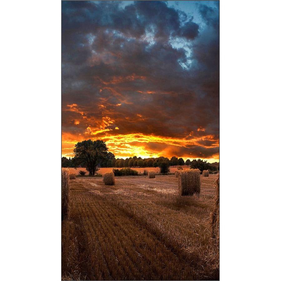 Samsung Vm46T-U Digital Signage Display