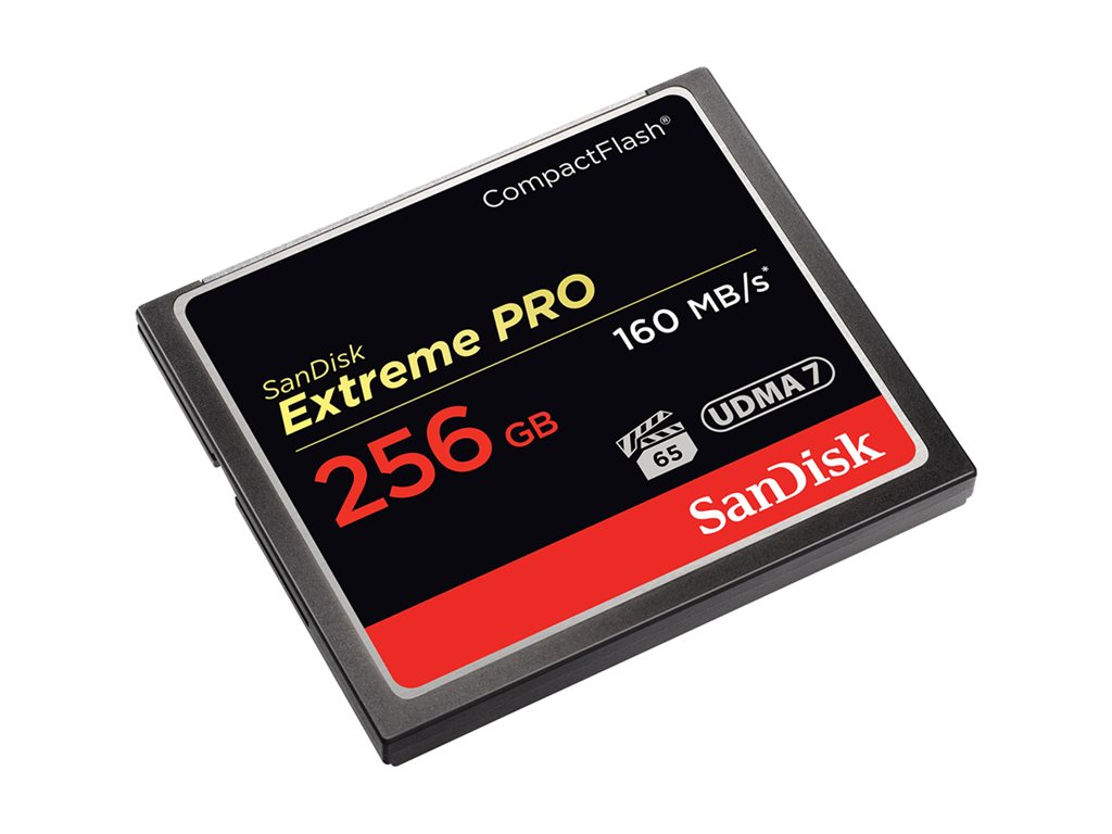 SanDisk Extreme Pro - Flash memory card - 256 GB - 933x/1067x - CompactFlash SDCFXPS-256G-A46