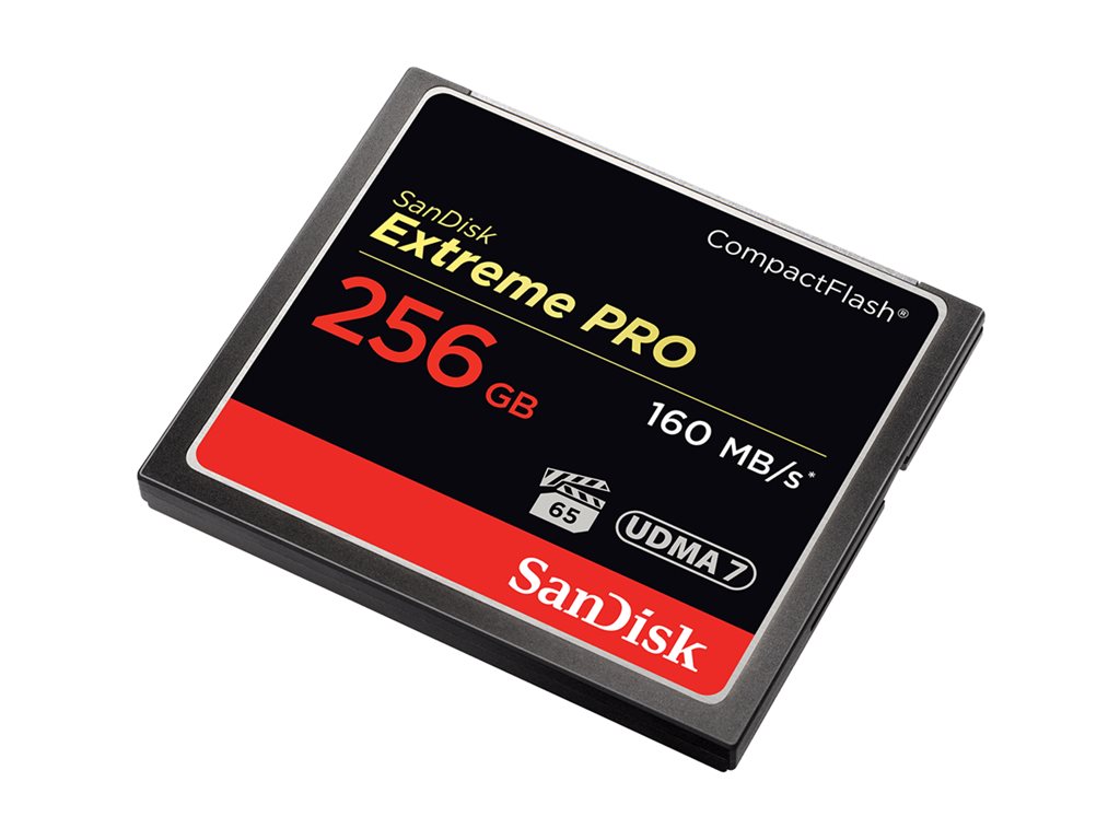 SanDisk Extreme Pro - Flash memory card - 256 GB - 933x/1067x - CompactFlash SDCFXPS-256G-A46