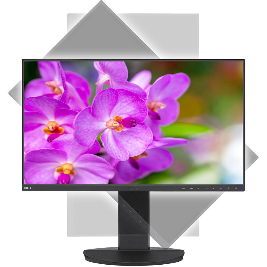 Sharp NEC Display EA241F-BK 24-inch Full HD IPS Monitor - Ultra-Narrow Bezel | TechSoft