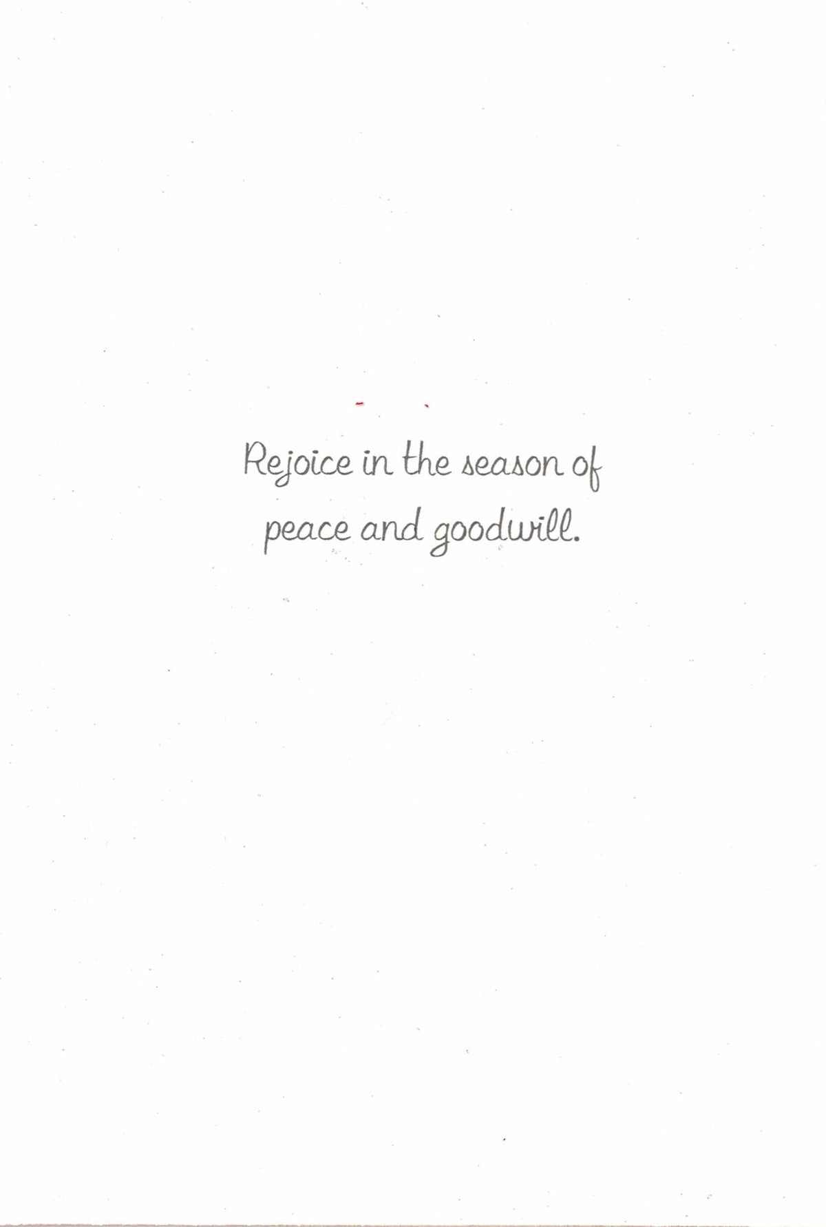 Snowflake Glitter Seasons Greetings Boxed Holiday Cards
