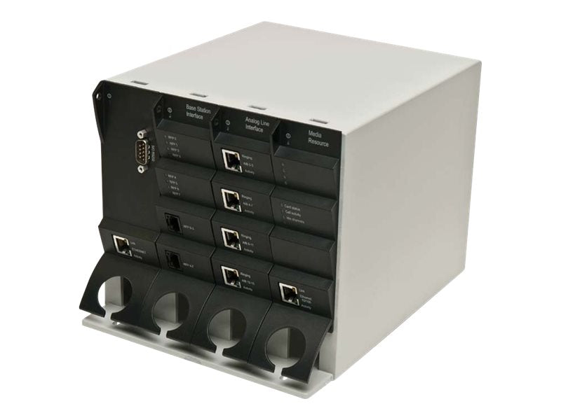 SpectraLink 2500 - Wireless device server - DECT