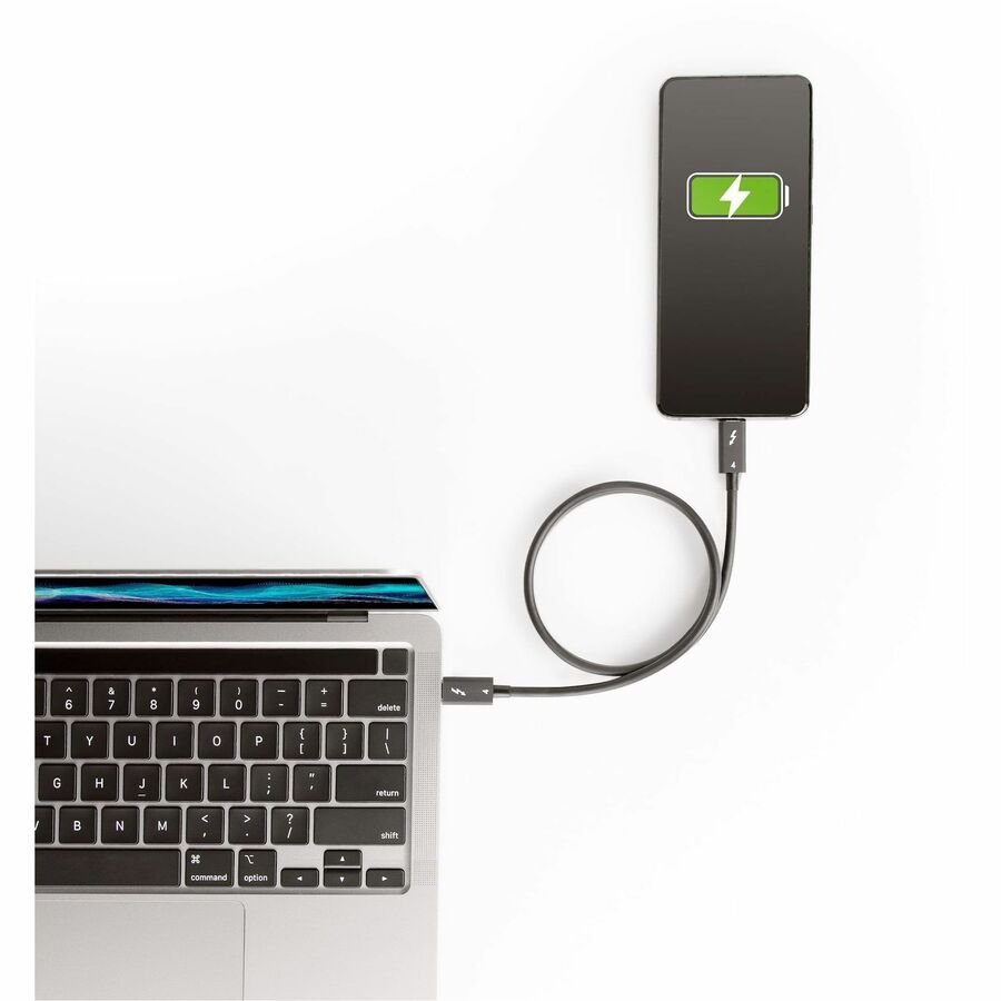 StarTech.com 1.6ft/50cm Thunderbolt 4 Cable, 40Gbps, 100W PD, 4K/8K Video,