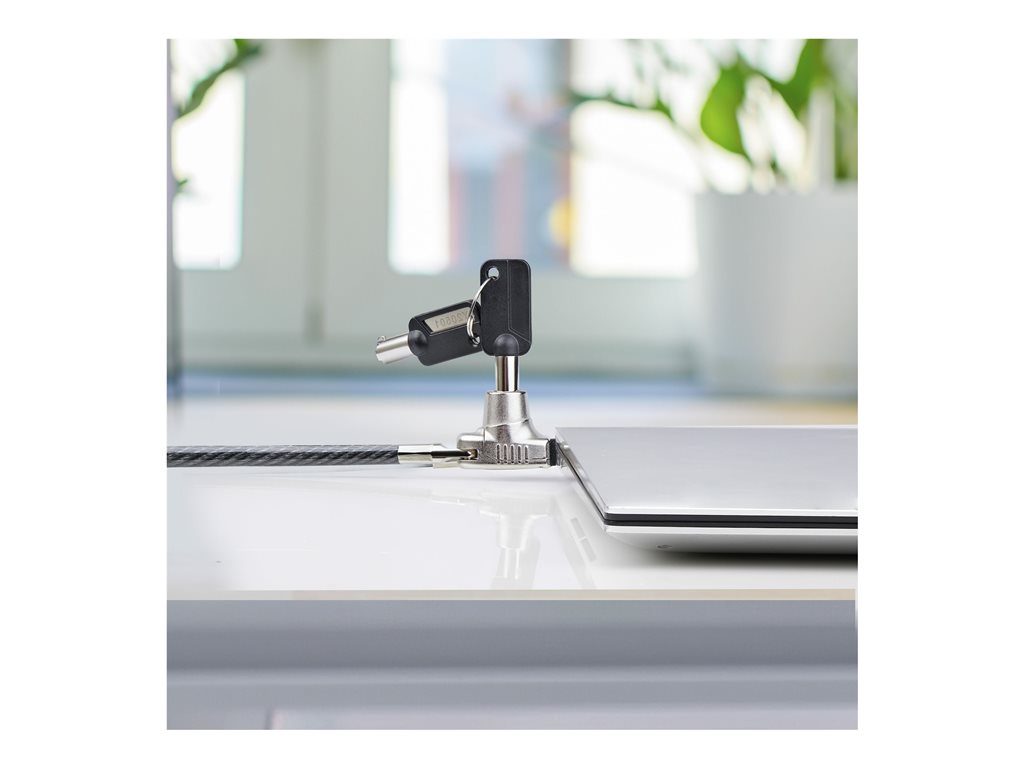 StarTech.com Slim Lock Noble Wedge Slot Compatible, 6.6ft Locking Cable - Security cable lock - anti-theft - 6.6 ft SNBLK-LAPTOP-LOCK