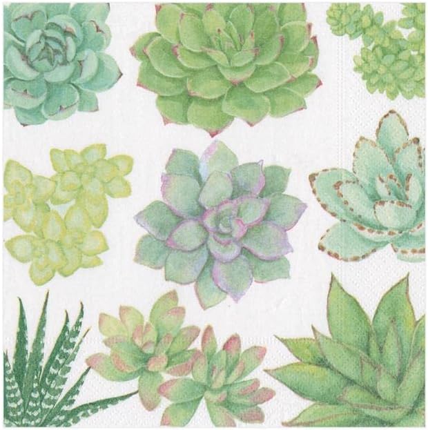 Succulents Paper Cocktail Napkins - Cocktail Napkin