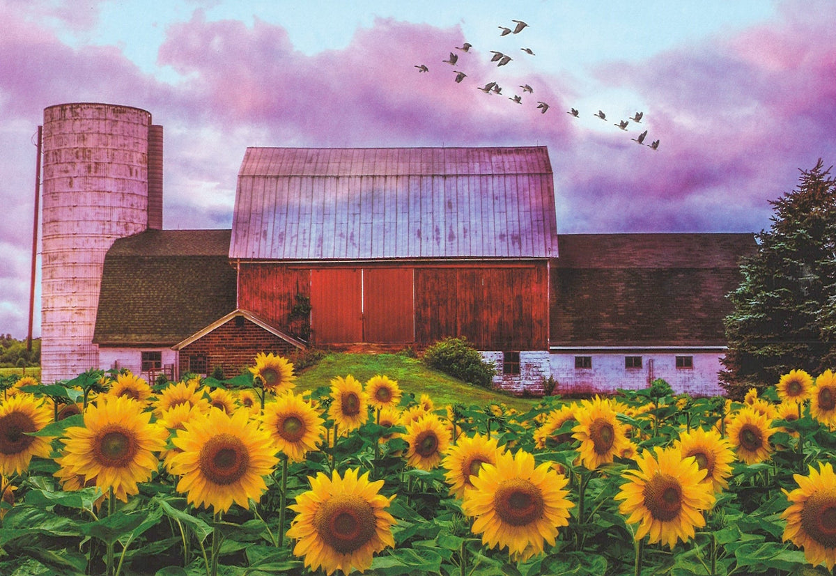 Sunflower Barn Greeting Card - Blank Card
