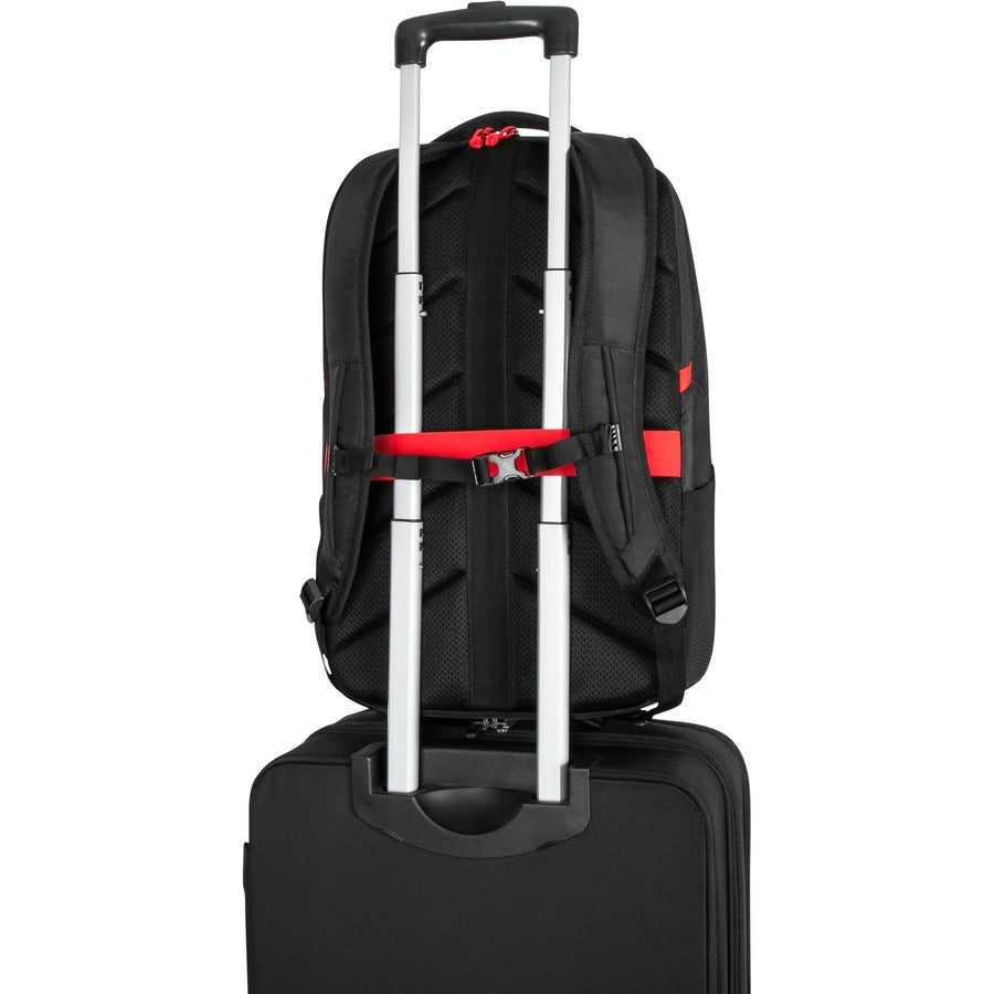 Targus TBB639GL Carrying Case (Backpack) for 17.3" Notebook - Black