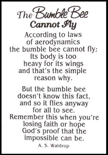 The Bumble Bee Cannot Fly - Charm