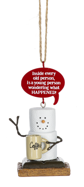 Toasted S'mores Aging Pun Ornament - What Happened