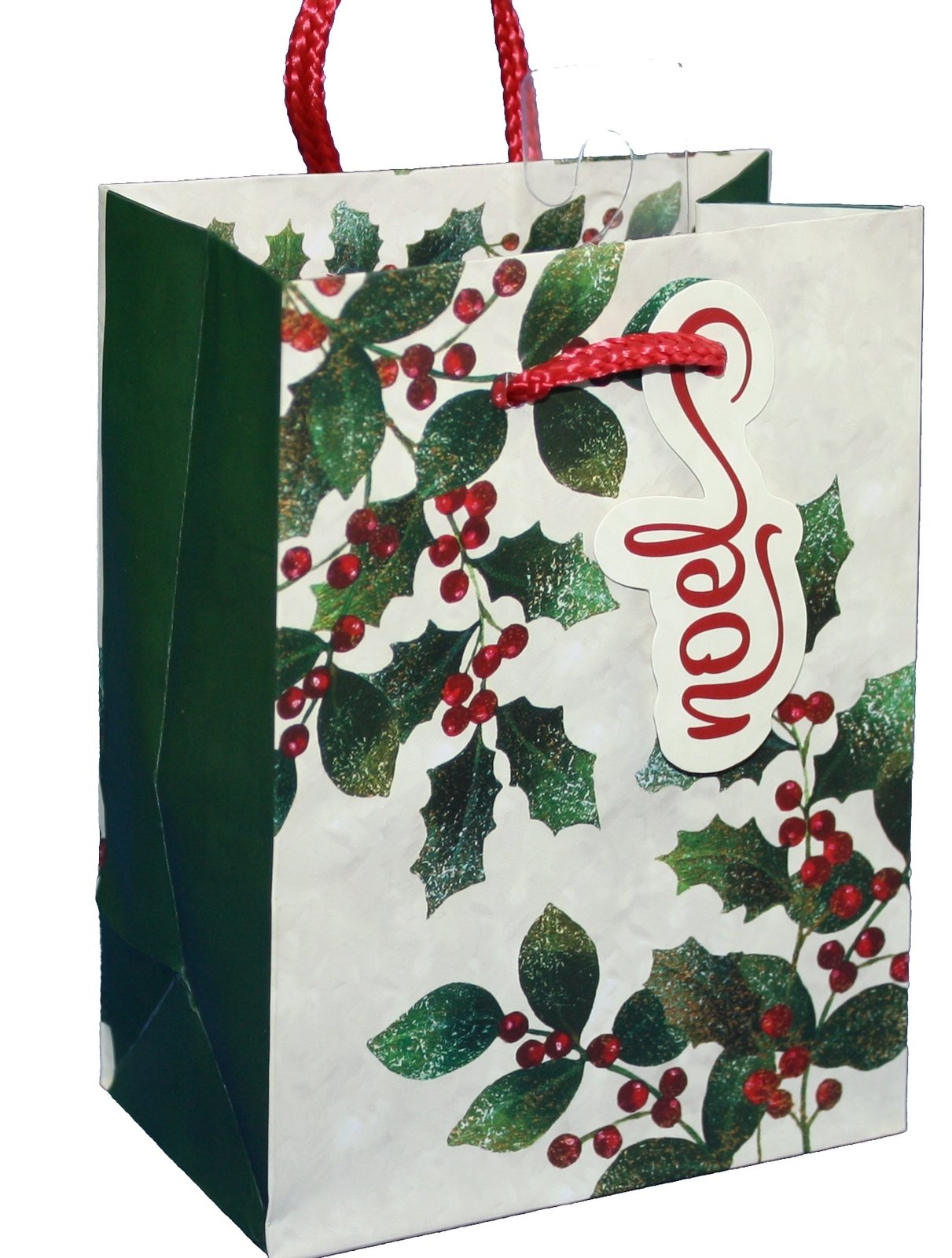 Traditional Symbol Gift Bag - Door Large