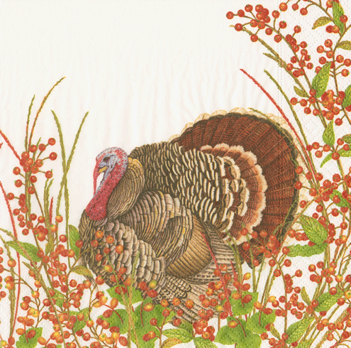 Turkey And Berries - Cocktail Napkin