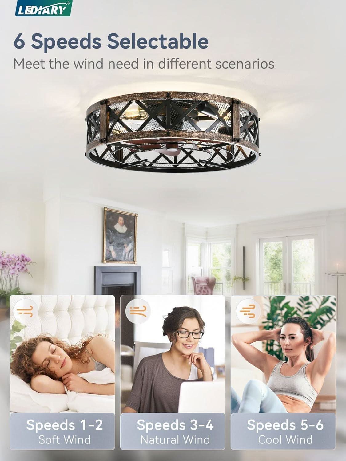 Twenty Inch Caged Ceiling Fan With Integrated Light Black