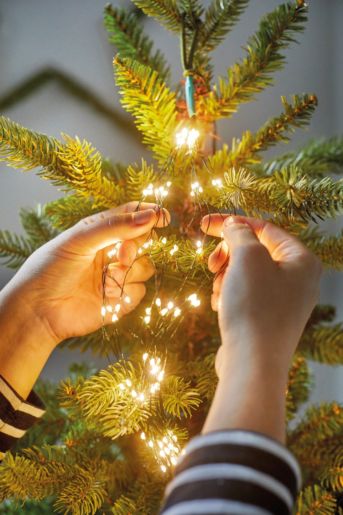 Twinkling Dreams Micro-LED Tree String Lights - Warm White - Green Wire