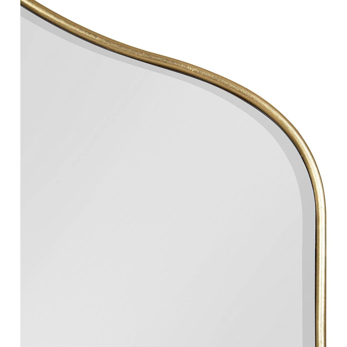 Tyla Wall Mirror 20x32 Inches Gold Finish Contemporary