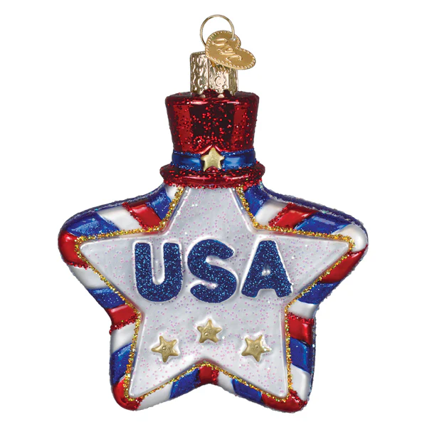 USA Star Glass Ornament