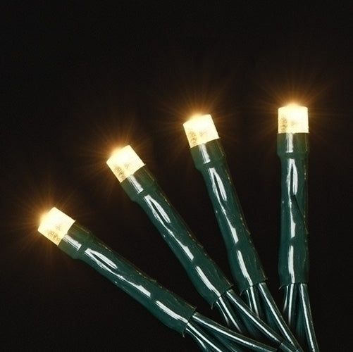 USB powered 50 LED (12.8 foot) Green Wire Multifunction Lights with Timer - Warm White