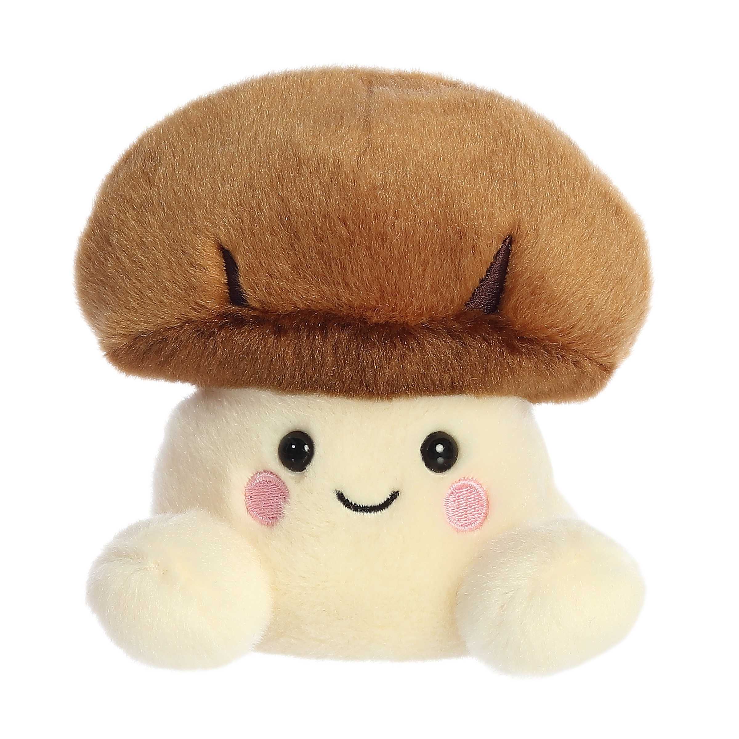 Umami Shiitake Mushroom Palm Pal