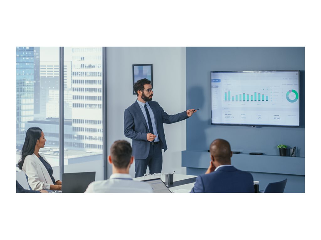 V7 WP500C - Presentation remote control - 5 buttons - RF