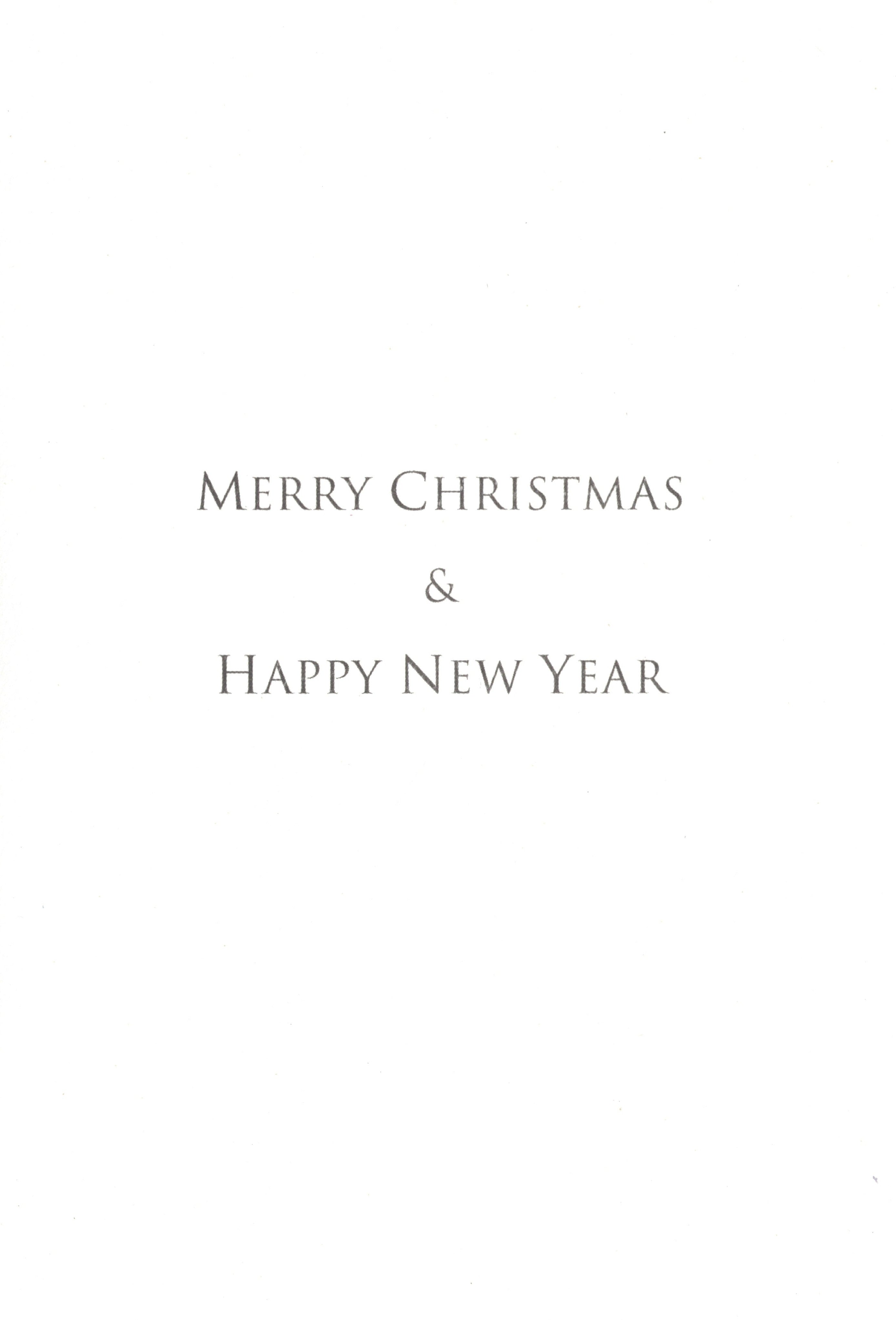 Value Card Set - Tis the Season - 18 Cards and Envelopes