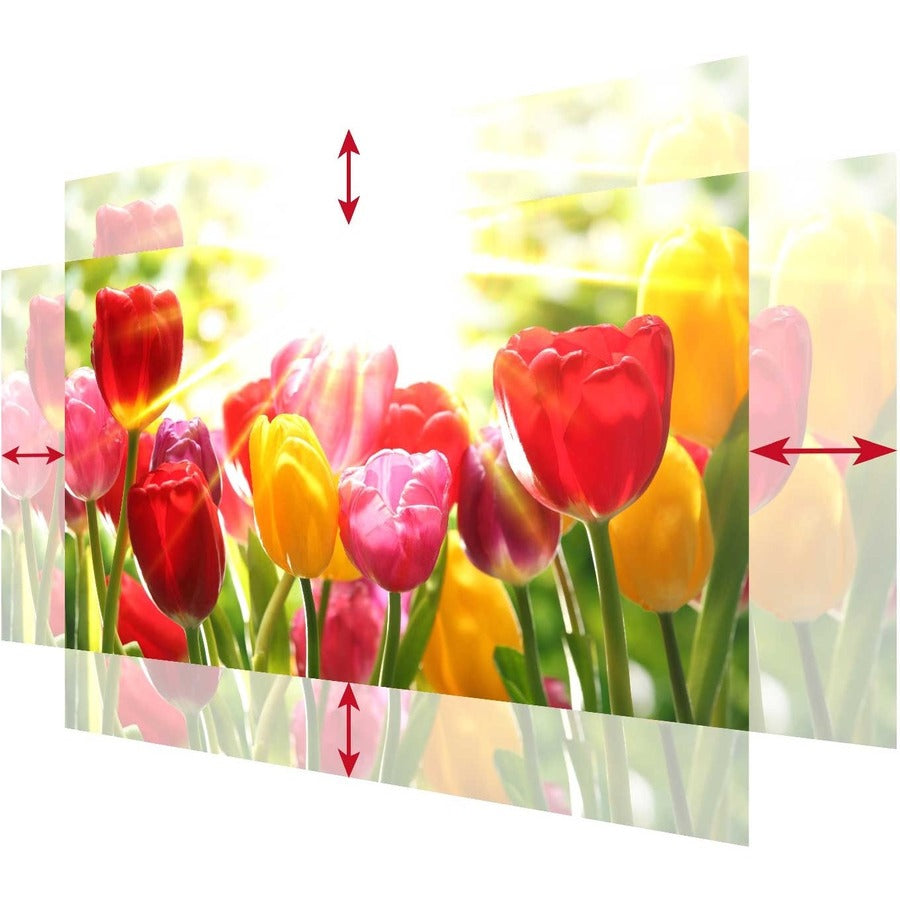 ViewSonic Pro10100 DLP Projector - 4:3