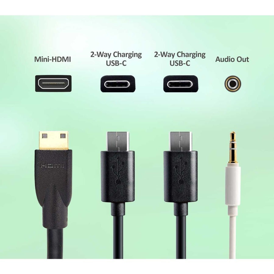 Viewsonic Va1655 Touch Screen Monitor 40.6 Cm (16") 1920 X 1080 Pixels Black