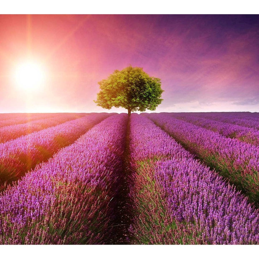 Viewsonic Vp2776 27" Colorpro 1440P Ips Nano Color Monitor With 165Hz, G-Sync Compatible, Colorpro Wheel And 90W Powered Usb C