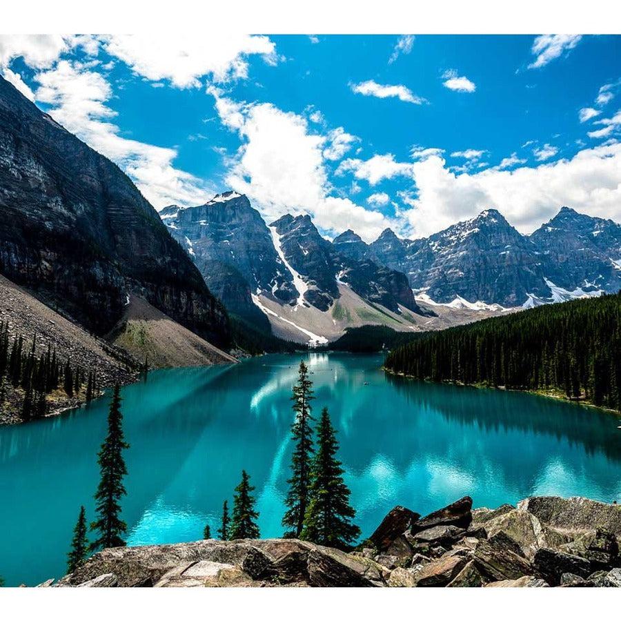 Viewsonic Vx Series Vx2776-4K-Mhd Led Display 68.6 Cm (27") 3840 X 2160 Pixels 4K Ultra Hd Black