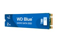WD Blue 2TB SATA M.2 Internal SSD Fast Storage for Professionals - 5 Yr Warranty