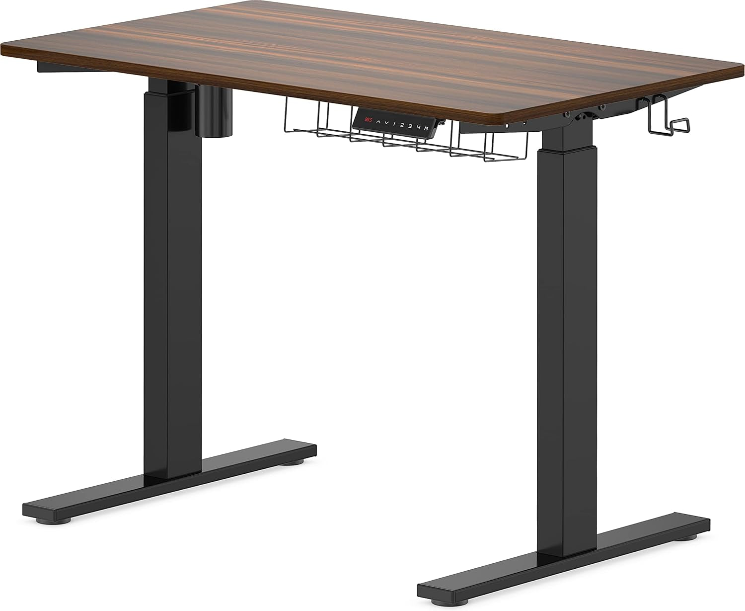 Walnut Electric Height Adjustable Standing Desk 40x24