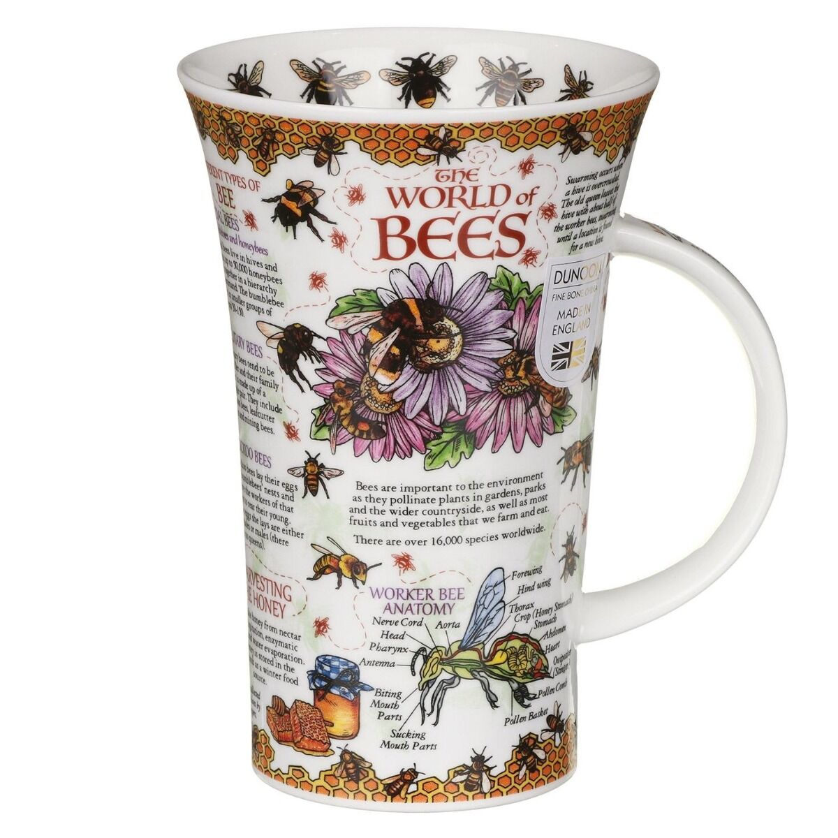 World Of Bees Fine Bone China Mug Glencoe Style By Dunoon