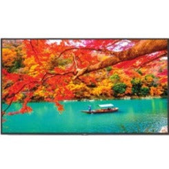 Zebra MA551 Cordless Phone