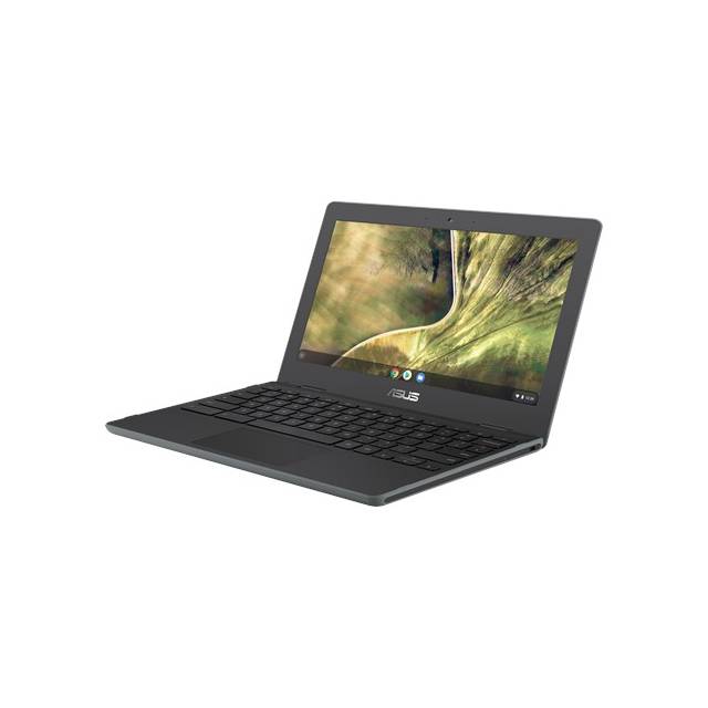 Asus Chromebook C204Ee-Yb02-Gr 11.6 Inch Intel Celeron N4020 1.1Ghz/ 4Gb Lpddr4/ 32Gb Emmc/ Usb3.2/ Chrome Os Notebook (Dark Grey)