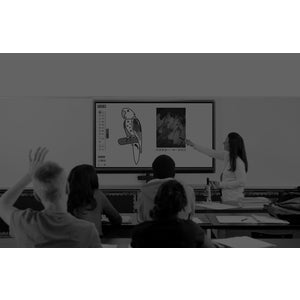 AVer AVer CP86 86 Class LCD Touchscreen Monitor - 16:9 - 8 ms" AVIFPCP86