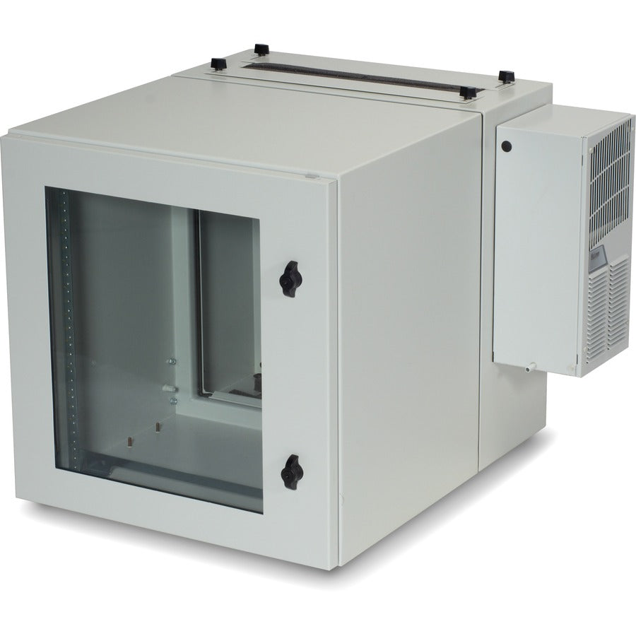 Black Box ClimateCab 12U WallMount RMW5110ACG-R2
