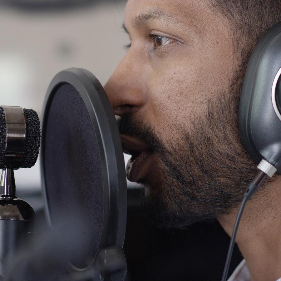 Blue Microphones Blackout Spark Sl Xlr Condenser Mic Black Studio Microphone