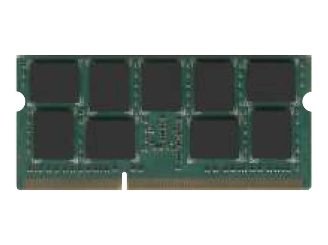 Dataram 4GB DDR3 SDRAM Memory Module DVM16D1L8/4G