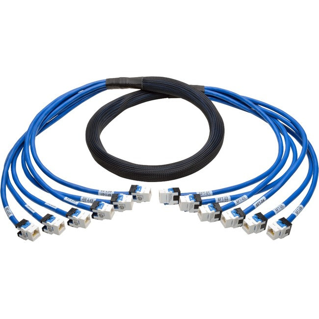 Eaton Tripp Lite Series Cat6a 10G Pre-Terminated Copper Trunk Assembly (6x RJ45 F/F), Blue, 6 ft. (1.83 m) N261-006-6FF-BL