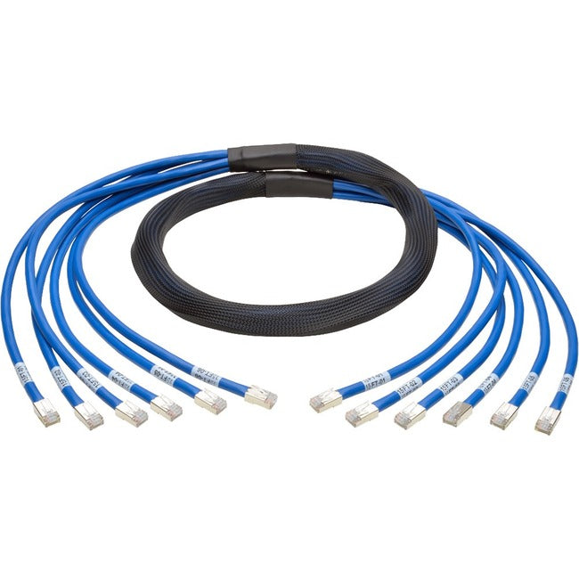 Eaton Tripp Lite Series Cat6a 10G Pre-Terminated Copper Trunk Assembly (6x RJ45 M/M), Blue, 10 ft. (3.05 m) N261-010-6MM-BL