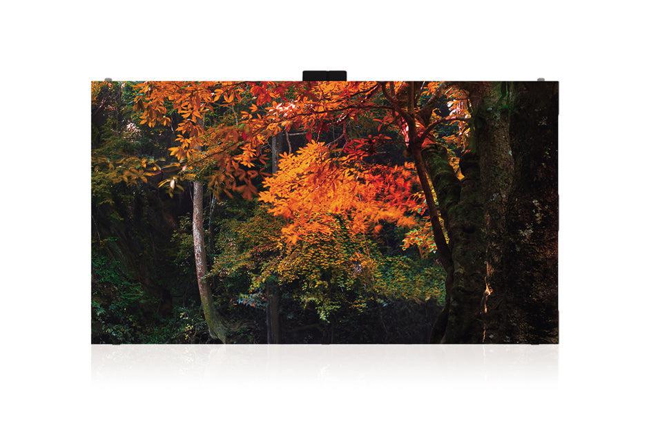 Lg Las018Db7-F Video Wall Display Direct View Led (Dvled) Indoor
