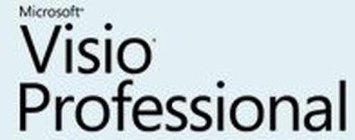Microsoft Visio Professional, Gov, Ol D, Lic/Sa, 1Y-Y1 Government (Gov)