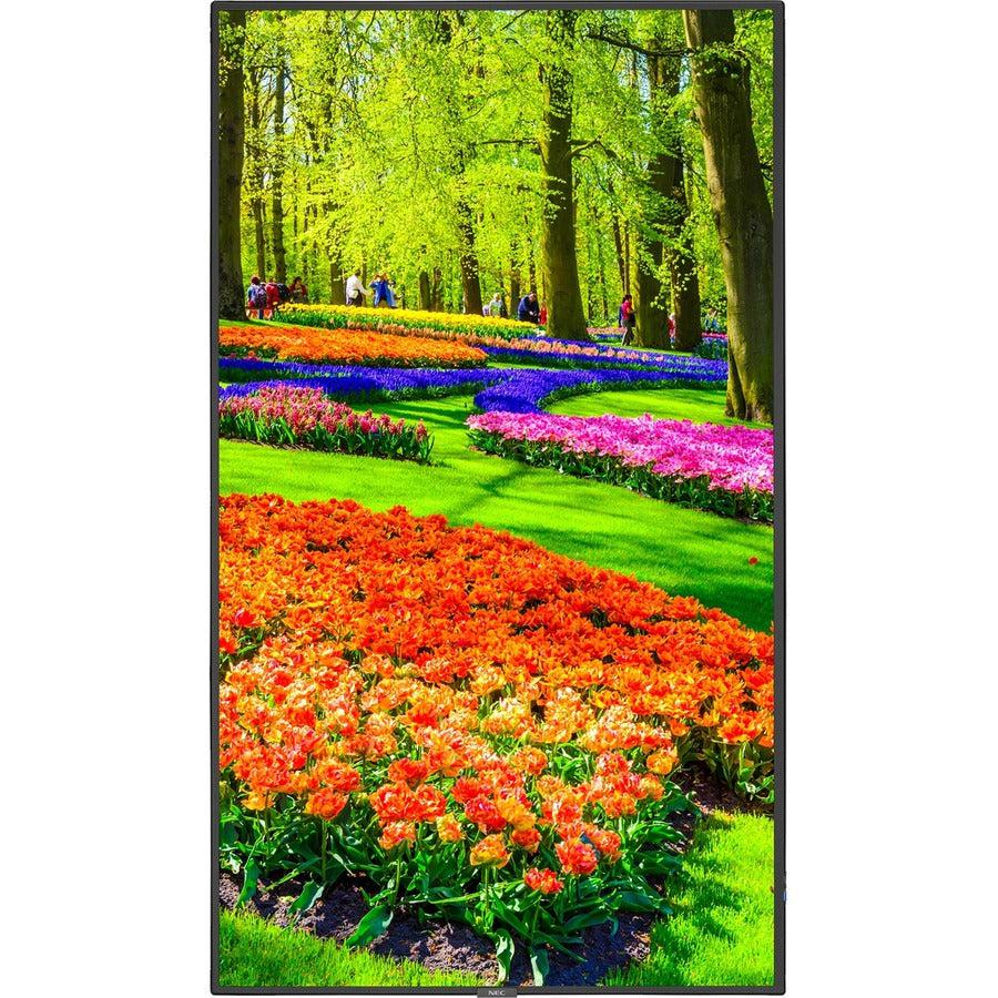 NEC Display 43 Ultra High Definition Professional Display with Integrated ATSC/NTSC Tuner" M431-AVT3