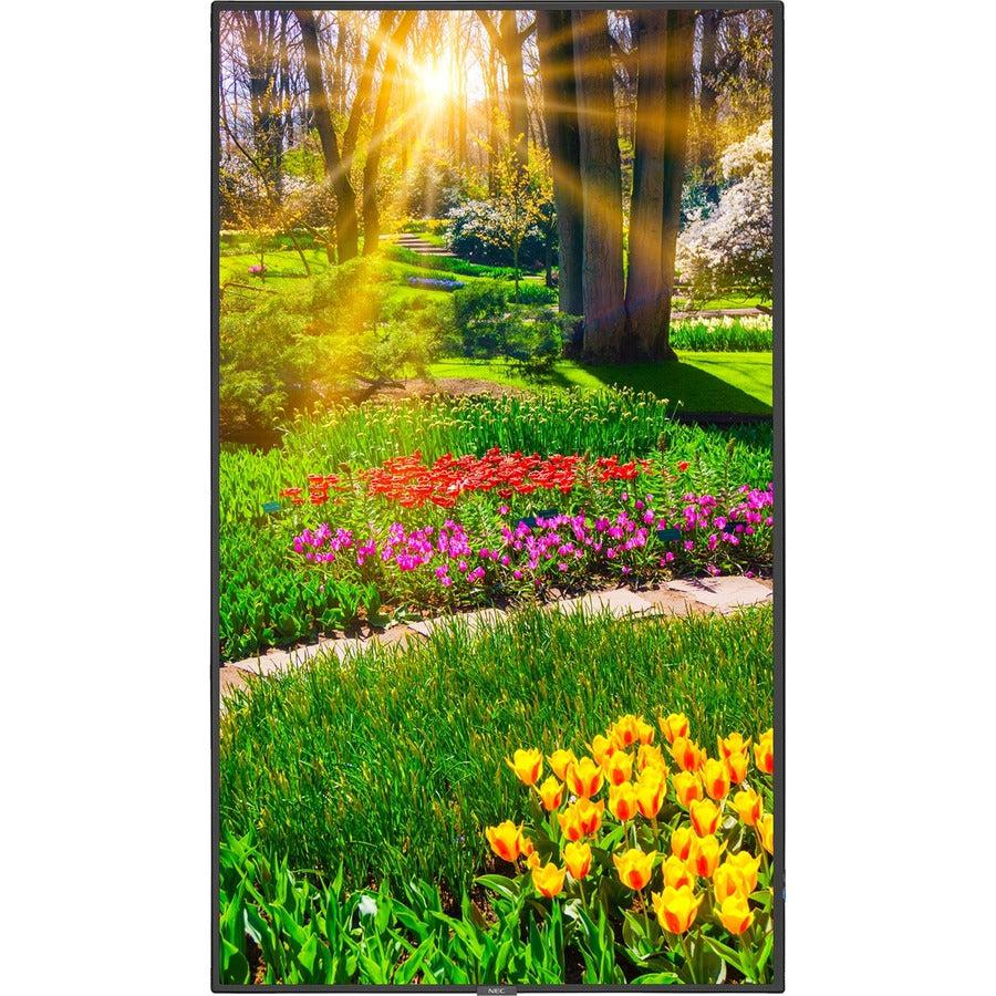 NEC Display 49 Ultra High Definition Professional Display with Integrated ATSC/NTSC Tuner" M491-AVT3