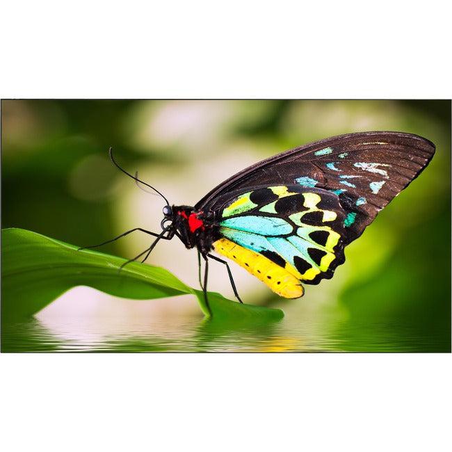 NEC Display 55 Ultra-Narrow Bezel Professional-Grade Display" UN552