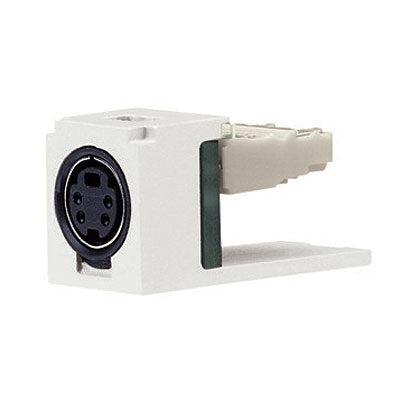 Panduit Cjsvig Keystone Module